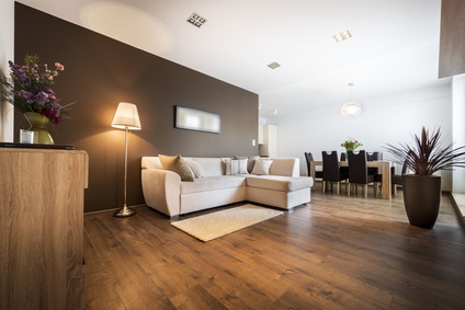 Luxurious living room with kitchen area